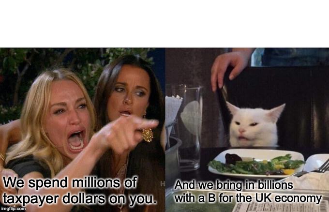 Woman Yelling At Cat Meme | And we bring in billions with a B for the UK economy; We spend millions of taxpayer dollars on you. | image tagged in memes,woman yelling at cat | made w/ Imgflip meme maker