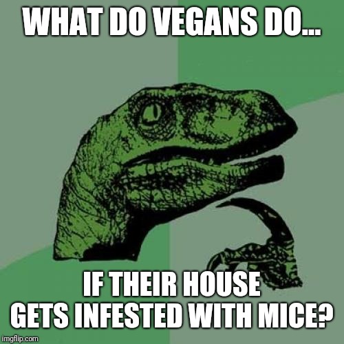 Philosoraptor Meme | WHAT DO VEGANS DO... IF THEIR HOUSE GETS INFESTED WITH MICE? | image tagged in memes,philosoraptor | made w/ Imgflip meme maker