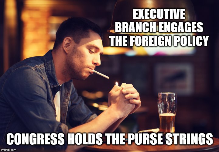 EXECUTIVE BRANCH ENGAGES THE FOREIGN POLICY CONGRESS HOLDS THE PURSE STRINGS | made w/ Imgflip meme maker