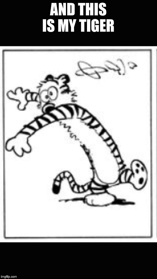 Hobbes dizzy  | AND THIS IS MY TIGER | image tagged in hobbes dizzy | made w/ Imgflip meme maker