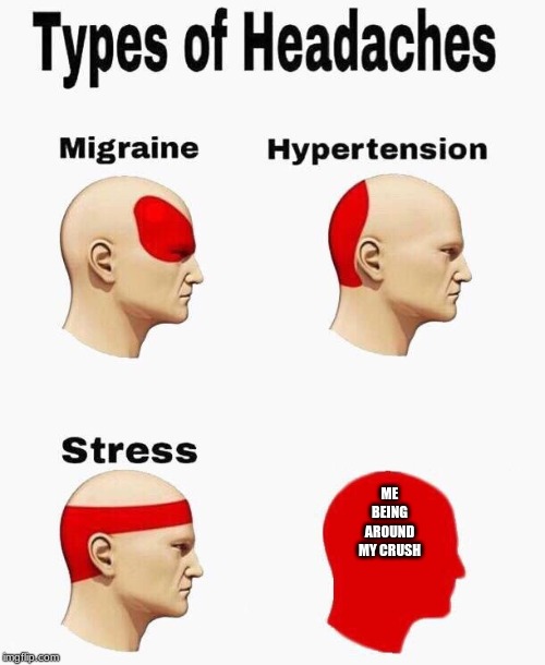 Headaches | ME BEING AROUND MY CRUSH | image tagged in headaches | made w/ Imgflip meme maker
