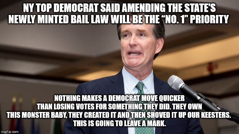 Bail reform | NY TOP DEMOCRAT SAID AMENDING THE STATE'S NEWLY MINTED BAIL LAW WILL BE THE “NO. 1” PRIORITY; NOTHING MAKES A DEMOCRAT MOVE QUICKER THAN LOSING VOTES FOR SOMETHING THEY DID. THEY OWN THIS MONSTER BABY, THEY CREATED IT AND THEN SHOVED IT UP OUR KEESTERS. 
THIS IS GOING TO LEAVE A MARK. | image tagged in bail reform | made w/ Imgflip meme maker