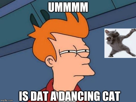 Futurama Fry Meme | UMMMM; IS DAT A DANCING CAT | image tagged in memes,futurama fry | made w/ Imgflip meme maker