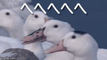 image tagged in gifs | made w/ Imgflip video-to-gif maker