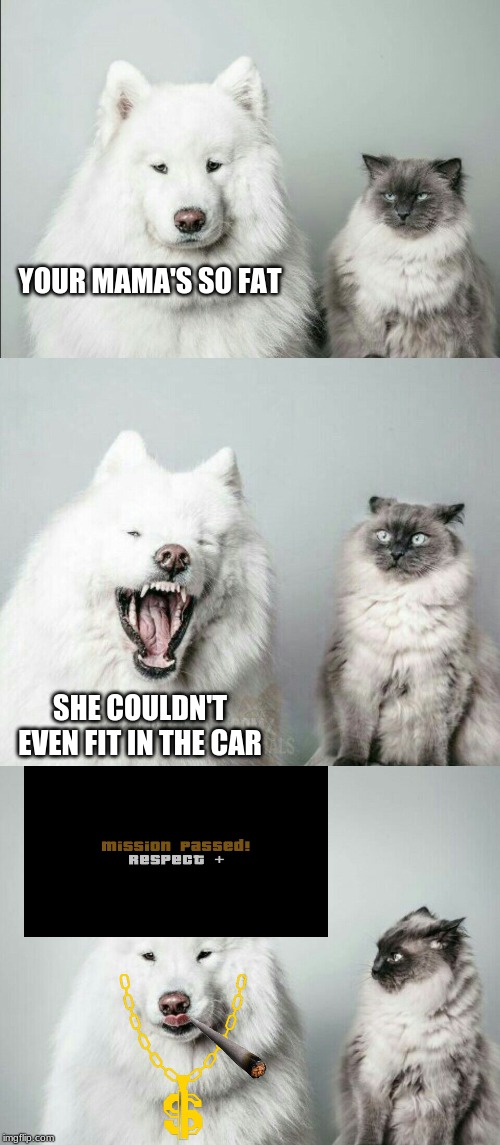 bad joke dog cat | YOUR MAMA'S SO FAT; SHE COULDN'T EVEN FIT IN THE CAR | image tagged in bad joke dog cat | made w/ Imgflip meme maker