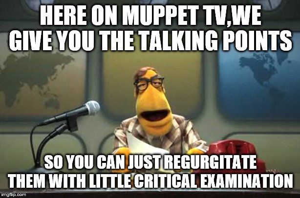 Muppet News Flash | HERE ON MUPPET TV,WE GIVE YOU THE TALKING POINTS SO YOU CAN JUST REGURGITATE THEM WITH LITTLE CRITICAL EXAMINATION | image tagged in muppet news flash | made w/ Imgflip meme maker