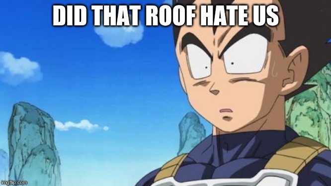 Surprized Vegeta Meme | DID THAT ROOF HATE US | image tagged in memes,surprized vegeta | made w/ Imgflip meme maker