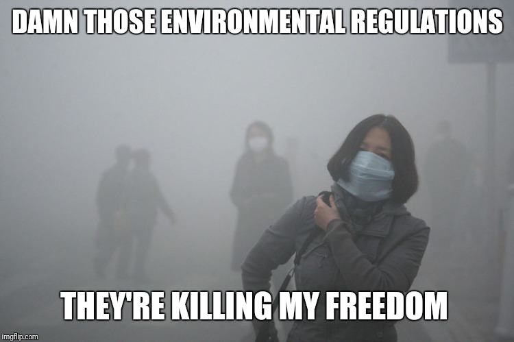 Air Pollution | DAMN THOSE ENVIRONMENTAL REGULATIONS; THEY'RE KILLING MY FREEDOM | image tagged in air pollution | made w/ Imgflip meme maker