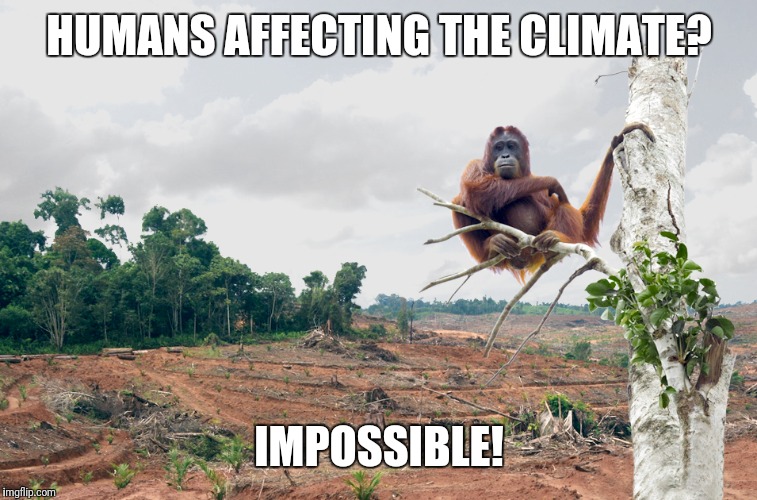 Orangutan's home lost to oil palm deforestation | HUMANS AFFECTING THE CLIMATE? IMPOSSIBLE! | image tagged in orangutan's home lost to oil palm deforestation | made w/ Imgflip meme maker