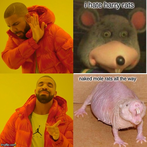 i hate harry rats; naked mole rats all the way | made w/ Imgflip meme maker