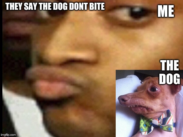 ME; THEY SAY THE DOG DONT BITE; THE DOG | made w/ Imgflip meme maker