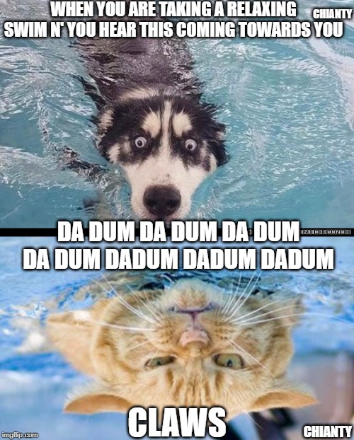 Swimming | WHEN YOU ARE TAKING A RELAXING SWIM N' YOU HEAR THIS COMING TOWARDS YOU; CHIANTY; DA DUM DA DUM DA DUM DA DUM DADUM DADUM DADUM; CHIANTY; CLAWS | image tagged in hearing | made w/ Imgflip meme maker