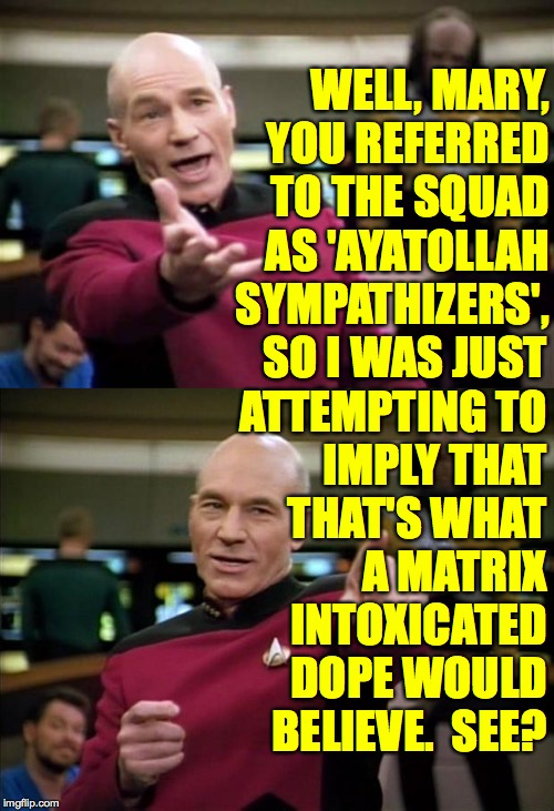 WELL, MARY, YOU REFERRED TO THE SQUAD AS 'AYATOLLAH SYMPATHIZERS', SO I WAS JUST
ATTEMPTING TO
IMPLY THAT
THAT'S WHAT
A MATRIX
INTOXICATED
D | image tagged in memes,picard wtf,picard | made w/ Imgflip meme maker
