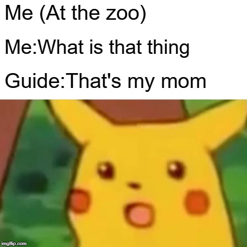 Surprised Pikachu Meme | Me (At the zoo); Me:What is that thing; Guide:That's my mom | image tagged in memes,surprised pikachu | made w/ Imgflip meme maker