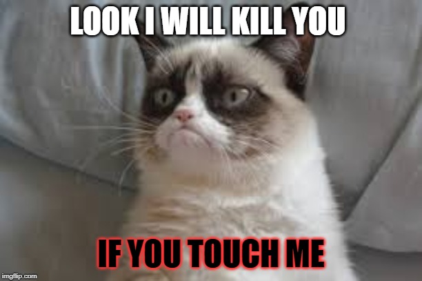 Grumpy cat | LOOK I WILL KILL YOU; IF YOU TOUCH ME | image tagged in grumpy cat | made w/ Imgflip meme maker