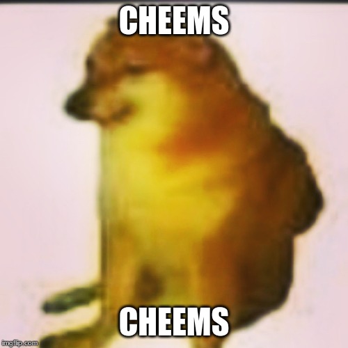 Fried cheems | CHEEMS; CHEEMS | image tagged in fried cheems | made w/ Imgflip meme maker