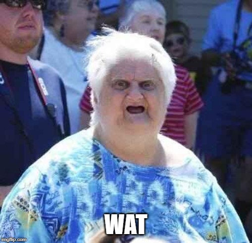 wut | WAT | image tagged in wut | made w/ Imgflip meme maker