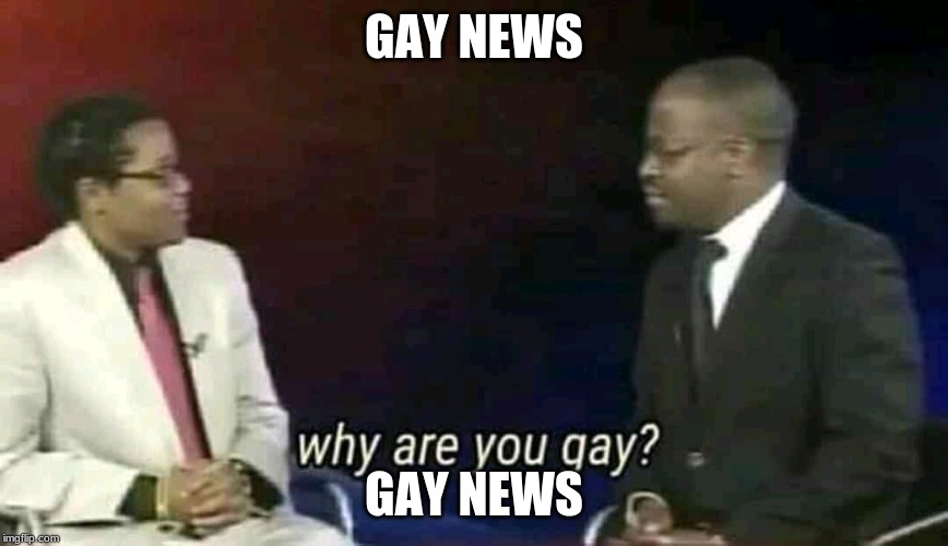 Why are you gay? | GAY NEWS; GAY NEWS | image tagged in why are you gay | made w/ Imgflip meme maker