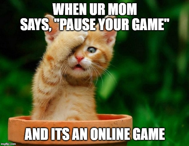 Come on | WHEN UR MOM SAYS, "PAUSE YOUR GAME"; AND ITS AN ONLINE GAME | image tagged in come on | made w/ Imgflip meme maker