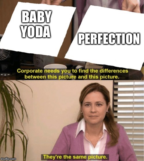 They're The Same Picture | PERFECTION; BABY YODA | image tagged in office same picture | made w/ Imgflip meme maker