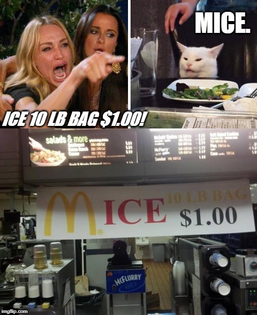 MICE. ICE 10 LB BAG $1.00! | image tagged in smudge the cat | made w/ Imgflip meme maker