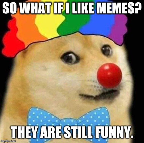 SO WHAT IF I LIKE MEMES? THEY ARE STILL FUNNY. | image tagged in fun | made w/ Imgflip meme maker