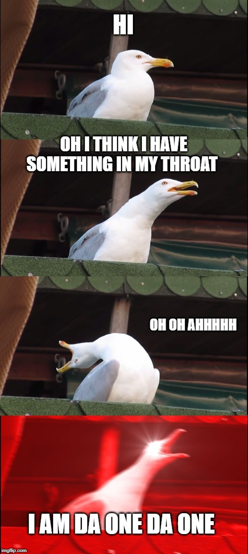 Inhaling Seagull | HI; OH I THINK I HAVE SOMETHING IN MY THROAT; OH OH AHHHHH; I AM DA ONE DA ONE | image tagged in memes,inhaling seagull | made w/ Imgflip meme maker