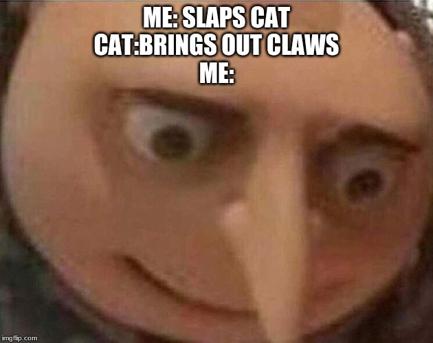 gru meme | ME: SLAPS CAT
CAT:BRINGS OUT CLAWS
ME: | image tagged in gru meme | made w/ Imgflip meme maker