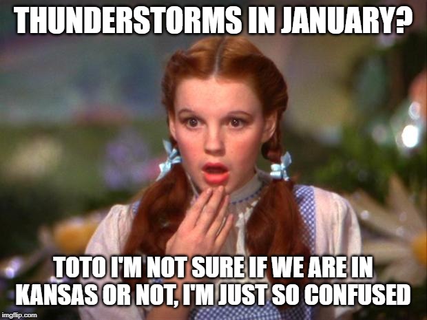 Dorothy | THUNDERSTORMS IN JANUARY? TOTO I'M NOT SURE IF WE ARE IN KANSAS OR NOT, I'M JUST SO CONFUSED | image tagged in dorothy | made w/ Imgflip meme maker