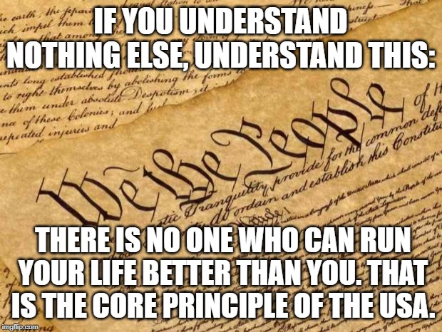 Constitution | IF YOU UNDERSTAND NOTHING ELSE, UNDERSTAND THIS:; THERE IS NO ONE WHO CAN RUN YOUR LIFE BETTER THAN YOU. THAT IS THE CORE PRINCIPLE OF THE USA. | image tagged in constitution | made w/ Imgflip meme maker