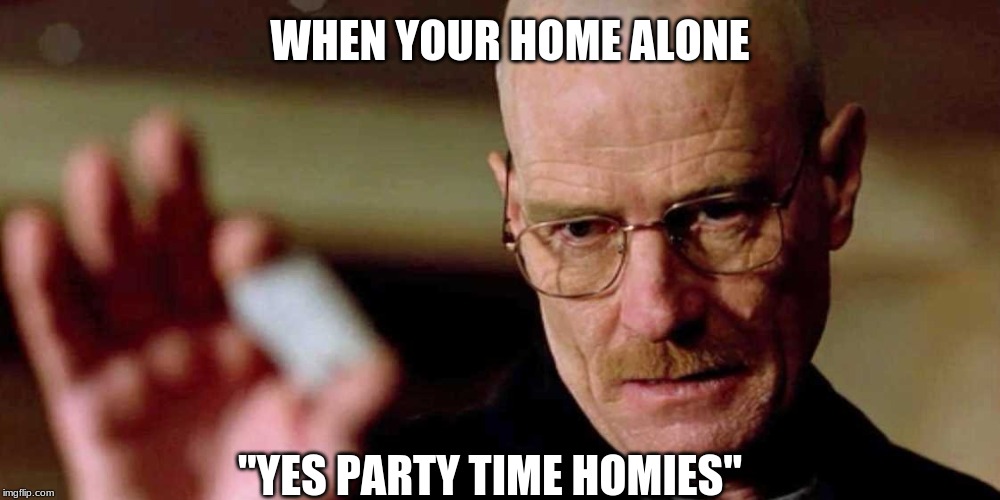This is not meth breaking bad Walter White | WHEN YOUR HOME ALONE; "YES PARTY TIME HOMIES" | image tagged in this is not meth breaking bad walter white | made w/ Imgflip meme maker
