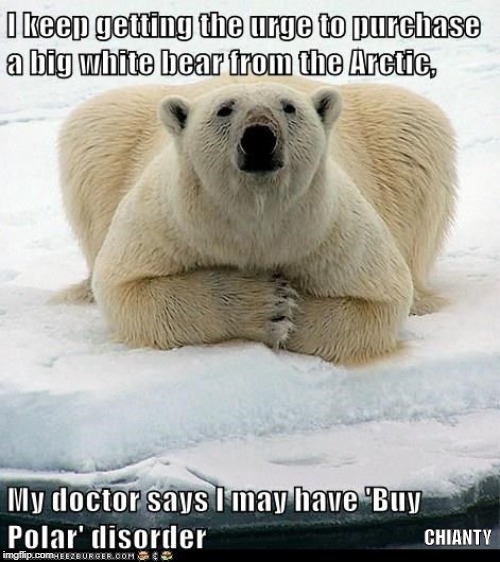 Arctic | CHIANTY | image tagged in polar bear | made w/ Imgflip meme maker