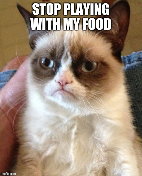 Grumpy Cat Meme | STOP PLAYING WITH MY FOOD | image tagged in memes,grumpy cat | made w/ Imgflip meme maker