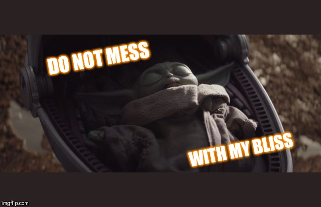 Baby Yoda Sleeping | DO NOT MESS; WITH MY BLISS | image tagged in baby yoda sleeping | made w/ Imgflip meme maker
