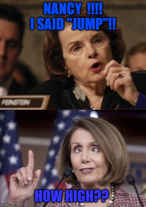 Feinstein told Pelosi to send the articles over. They'll be there next week,  LOL | NANCY  !!!! I SAID "JUMP"!! HOW HIGH?? | image tagged in feinstein,nancy pelosi,impeach trump | made w/ Imgflip meme maker