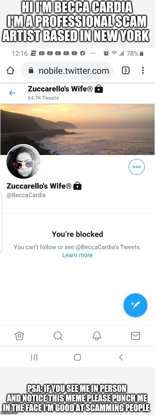 Becca Cardia the scam artist | HI I'M BECCA CARDIA I'M A PROFESSIONAL SCAM ARTIST BASED IN NEW YORK; PSA: IF YOU SEE ME IN PERSON AND NOTICE THIS MEME PLEASE PUNCH ME IN THE FACE I'M GOOD AT SCAMMING PEOPLE | image tagged in becca cardia the scam artist | made w/ Imgflip meme maker