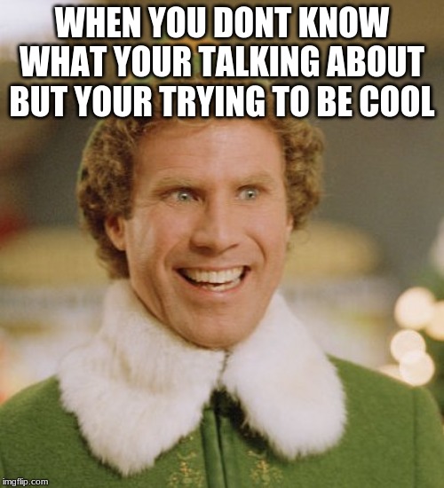 Buddy The Elf Meme | WHEN YOU DONT KNOW WHAT YOUR TALKING ABOUT BUT YOUR TRYING TO BE COOL | image tagged in memes,buddy the elf | made w/ Imgflip meme maker