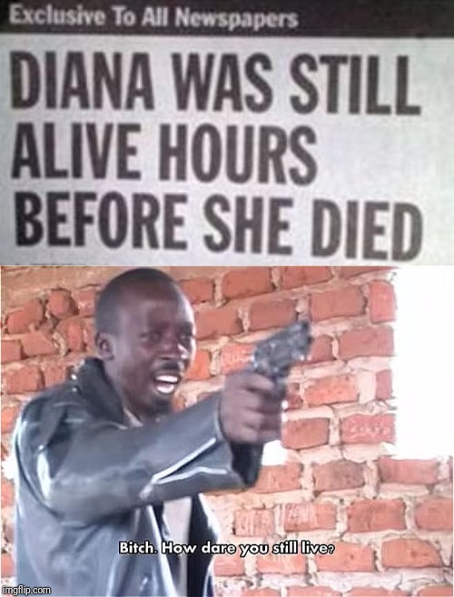 Title | image tagged in bitch how dare you still live,memes,dank memes | made w/ Imgflip meme maker