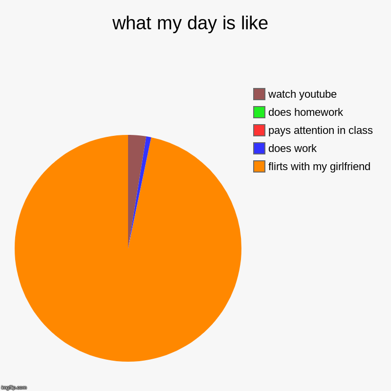 what my day is like  | flirts with my girlfriend, does work, pays attention in class, does homework, watch youtube | image tagged in charts,pie charts | made w/ Imgflip chart maker