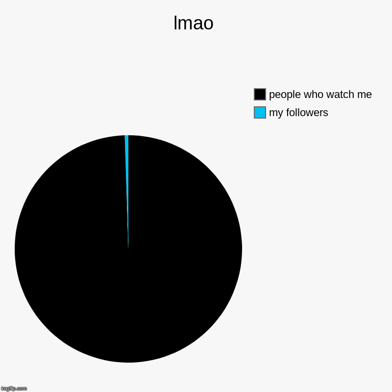 lmao | my followers, people who watch me | image tagged in charts,pie charts | made w/ Imgflip chart maker