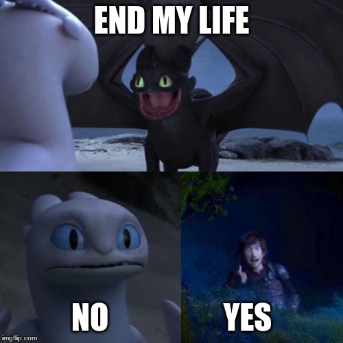Toothless presents himself | END MY LIFE; NO                   YES | image tagged in toothless presents himself | made w/ Imgflip meme maker