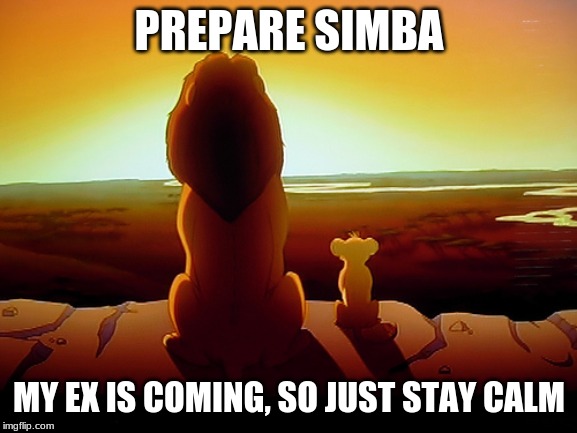 Lion King Meme | PREPARE SIMBA; MY EX IS COMING, SO JUST STAY CALM | image tagged in memes,lion king | made w/ Imgflip meme maker