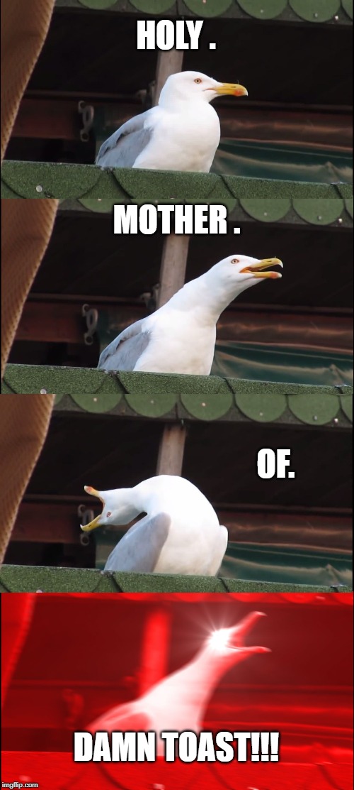 Inhaling Seagull Meme | HOLY . MOTHER . OF. DAMN TOAST!!! | image tagged in memes,inhaling seagull | made w/ Imgflip meme maker
