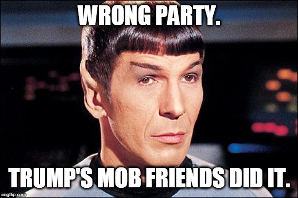 Condescending Spock | WRONG PARTY. TRUMP'S MOB FRIENDS DID IT. | image tagged in condescending spock | made w/ Imgflip meme maker