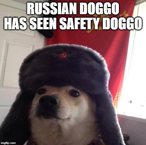 Russian Doge | RUSSIAN DOGGO HAS SEEN SAFETY DOGGO | image tagged in russian doge | made w/ Imgflip meme maker