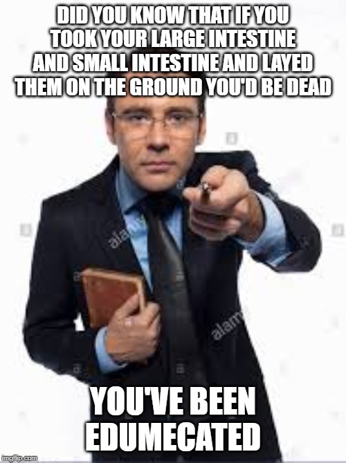 You've Been Edumecated | DID YOU KNOW THAT IF YOU TOOK YOUR LARGE INTESTINE AND SMALL INTESTINE AND LAYED THEM ON THE GROUND YOU'D BE DEAD; YOU'VE BEEN EDUMECATED | image tagged in facts | made w/ Imgflip meme maker