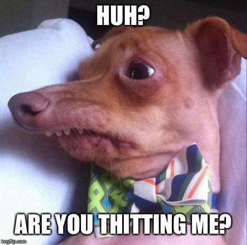 Tuna the dog (Phteven) | HUH? ARE YOU THITTING ME? | image tagged in tuna the dog phteven | made w/ Imgflip meme maker