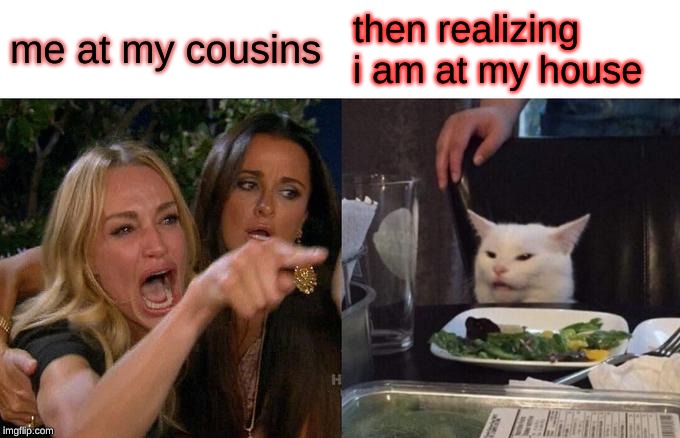 Woman Yelling At Cat | me at my cousins; then realizing i am at my house | image tagged in memes,woman yelling at cat | made w/ Imgflip meme maker