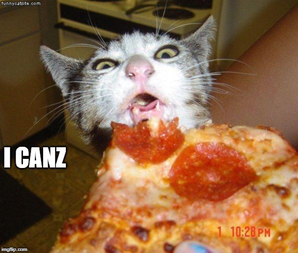 Pizza Cat | I CANZ | image tagged in pizza cat | made w/ Imgflip meme maker