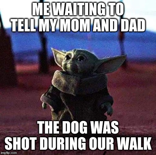 Baby Yoda | ME WAITING TO TELL MY MOM AND DAD; THE DOG WAS SHOT DURING OUR WALK | image tagged in baby yoda | made w/ Imgflip meme maker